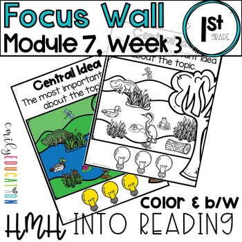 HMH Into Reading | 1st Grade | Focus Wall Posters Module 7, Week 3