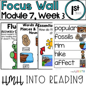 HMH Into Reading | 1st Grade | Focus Wall Posters Module 7, Week 3