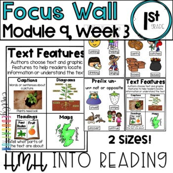 HMH Into Reading | 1st Grade | Focus Wall Posters Module 9, Week 3