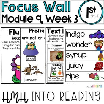 HMH Into Reading | 1st Grade | Focus Wall Posters Module 9, Week 3