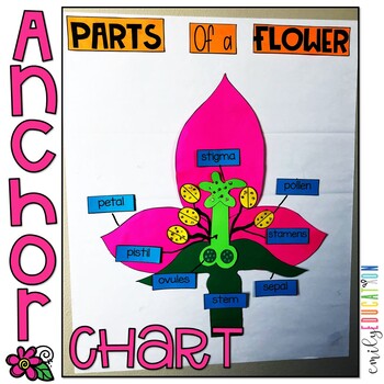 Parts of a Flower Craft and Activities