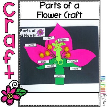 Parts of a Flower Craft and Activities