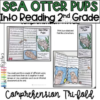 Sea Otter Pups | HMH Into Reading | 2nd Grade | Module 9, Week 2