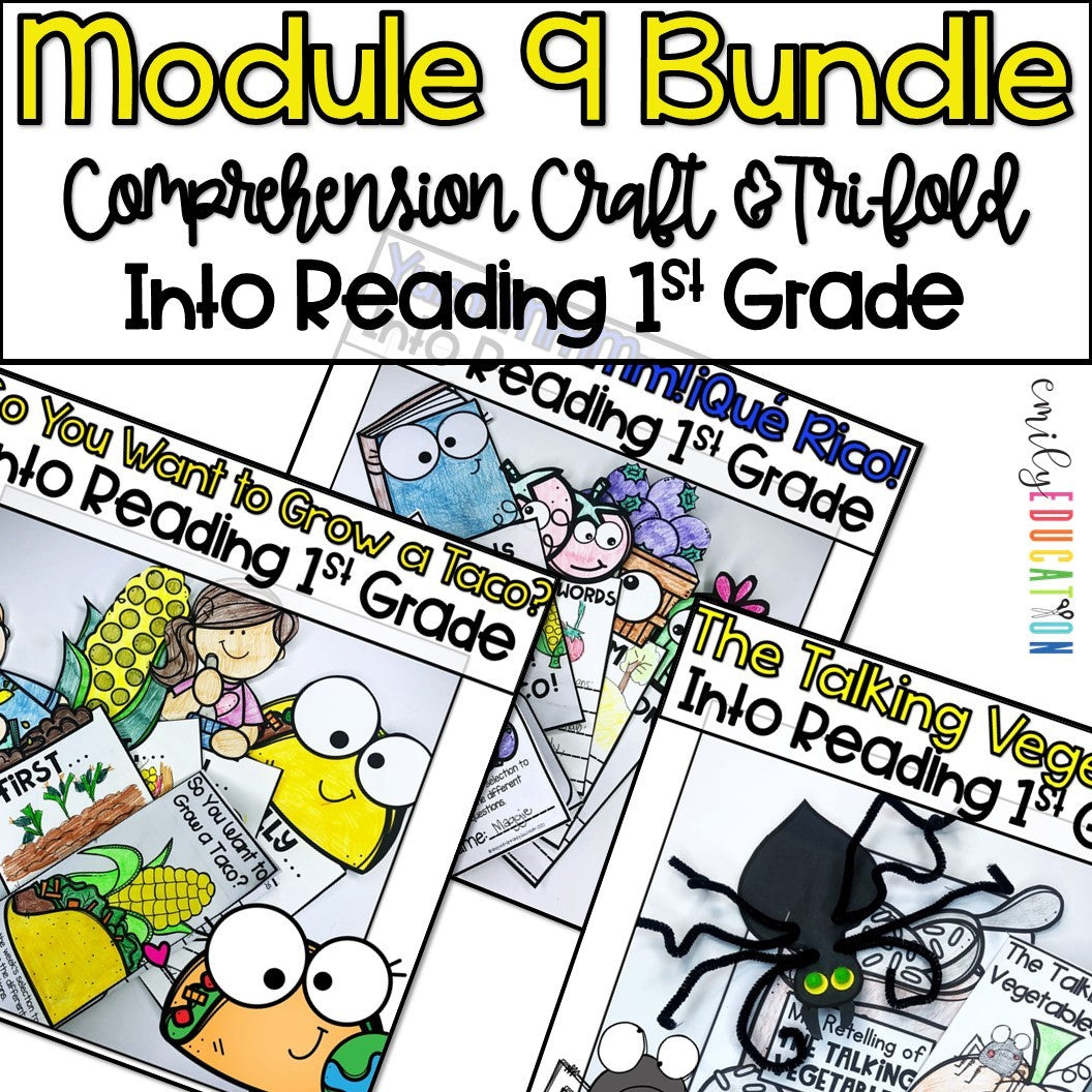 Into Reading First Grade Comprehension Craft and Tri-fold BUNDLE