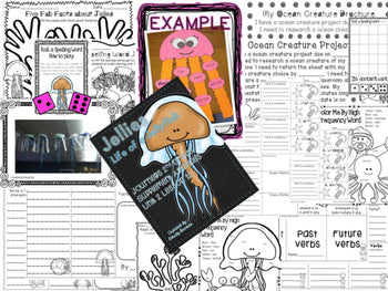 Jellies Life of a Jellyfish Supplement Activities Journeys 2nd Grade