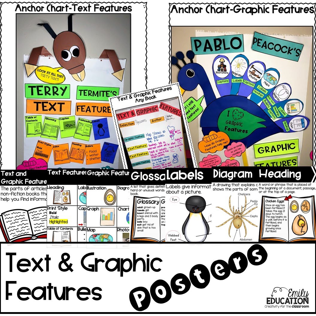 Text and Graphic Features