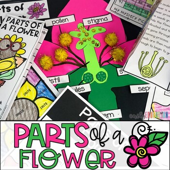 parts of a flower craft