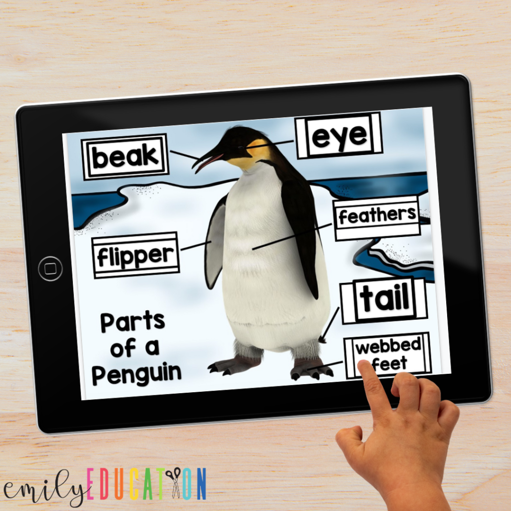 digital penguin labeling activity