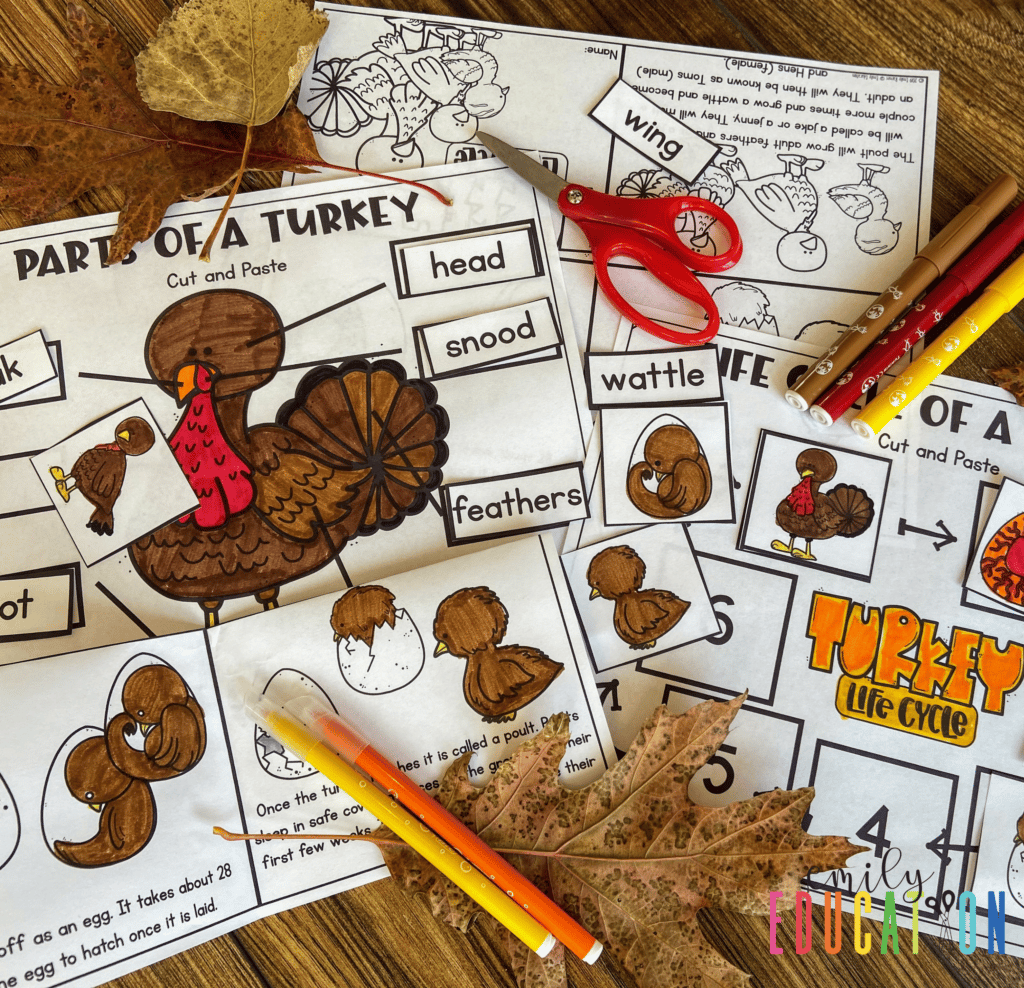 These turkey activities are great for a fun, engaging science lesson. Talk about the different body parts of a turkey and learn all about the life cycle of a turkey with these activities! 
